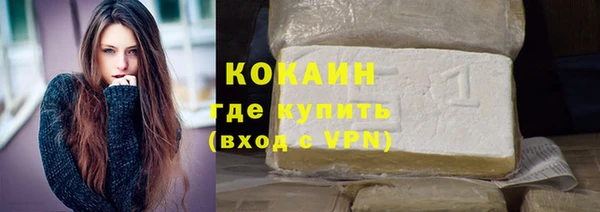 молекула духа Бородино
