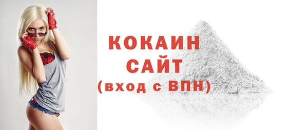 молекула духа Бородино