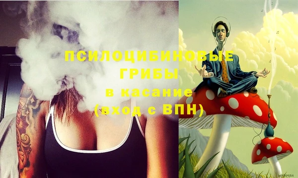 бошки Бронницы