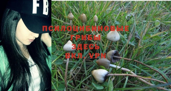 бошки Бронницы